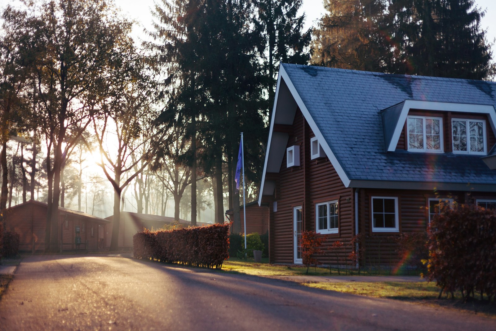 White-framed windows on a timber-clad house beside trees